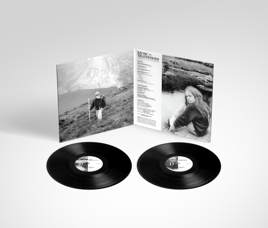 inti figgis-vizueta - Music for Transitions