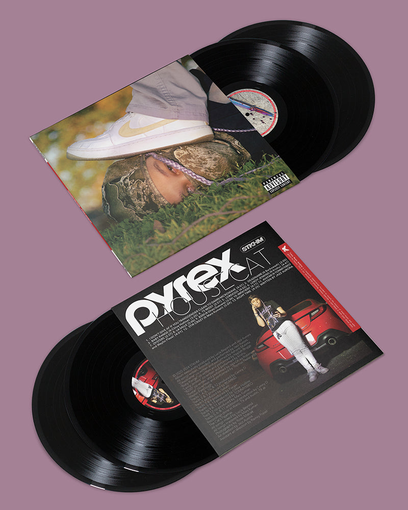 CENSORED dialogue - Pyrex Housecat